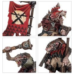 Warhammer Age of Sigmar Introductory Set 5