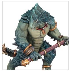 Warhammer Age of Sigmar Spearhead Seraphon 16