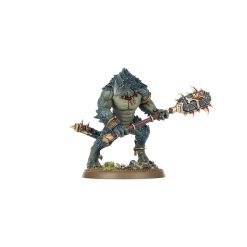 Warhammer Age of Sigmar Spearhead Seraphon 6